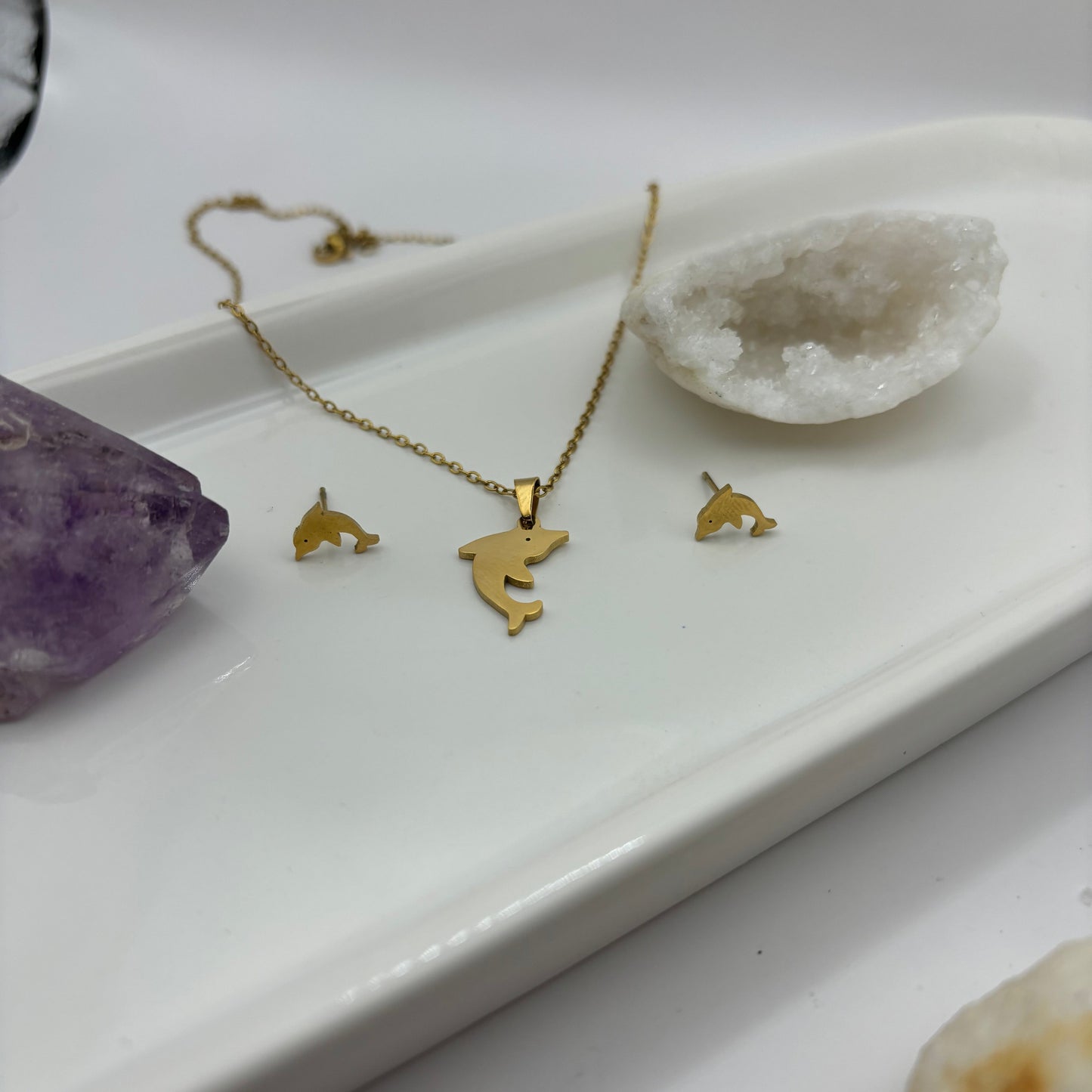 Necklace & Earring Dolphin Animal Bundle